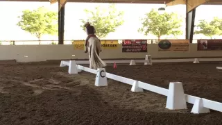 Adammair - Cowboy Dressage World Finals September 10, 2016  Challenge Walk Jog Test 3