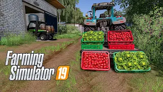 Growing Lettuce&Red Pepper... | Hof Bergmann| Farming Simulator 2019 timelapse #13