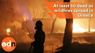 At least 50 dead as wildfires spread in Greece