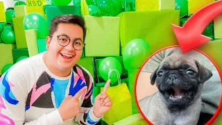 SORPRENDEMOS A NUESTRO MEJOR  AMIGO CON UNA CACHORRITA (PUG)