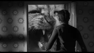 The Incredible Shrinking Man (1957) - Cat Scene