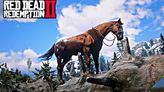 RDR2 - You Can't Ignored This Rarest Horse With Locations :13