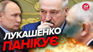 🤔ЛУКАШЕНКО переживає за своє життя / Нова заява