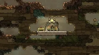 Oxygen not included | Гайд. Правильная база