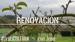 PODA de RENOVACIÓN en frutales 🌿 Asegura la BROTACIÓN 💚 frutiCULTURA #LdN