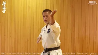 Kyokushin Karate #001 “Seiken, Uke, Shuto” Basic training / by IBKO Shihan Sakamoto.