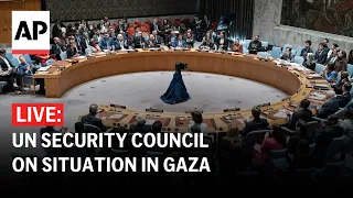 LIVE: UN Security Council discusses situation in Gaza