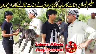 New Funny Video Saleem Albela ko Jin Chimat Gaiy Goga Pasroori nay Ilaaj bata dia