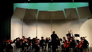 Besame Mucho | TOHS Camerata Orchestra