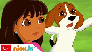 Dora ve Arkadaşları | Büyülü Kamera | Nick Jr.