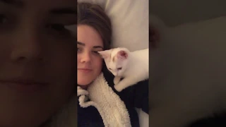 Girl kisses cat and cat kisses her back
