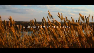 Short cinematic footage - Nikon Z50 4k Footage