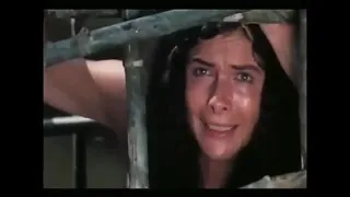 Cannibal Ferox 1981 - YT slapped this trailer with an Age Restriction