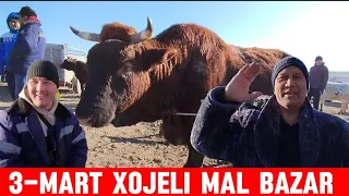 3-МАРТ ХОЖЕЛИ МАЛ БАЗАР/СКОТНЫЙ РЫНОК/BUQALAR/BIGGEST BULLS IN THE WORLD/BIGG BULLS