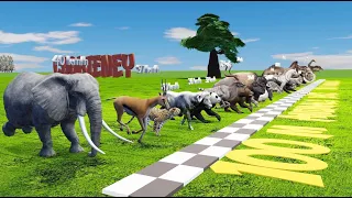 Ultimate Race of 36 Wild Animals, can you guess which is the fastest animal?