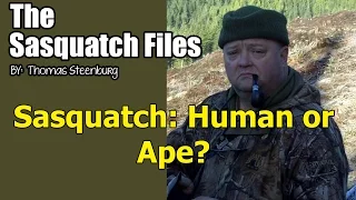 Sasquatch: Is It Human or Ape?