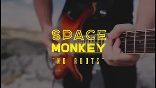 No roots - Alice Merton cover by Space Monkey