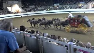 Indiana State Fair Stagecoach Ride Goes Bad