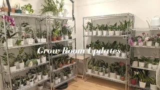 My Updated Plant Grow Room & A Quick Look at My Orchid Collection