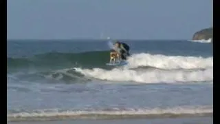 mango the surfing dog of Newquay 0001