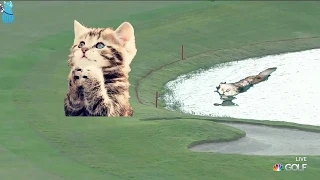 OH, NO!!! Golf Shot Fail Compilation 2019 Buick Shanghai LPGA Tournament