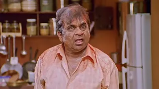 Brahmanandam Super Comedy Scene | Soggadu Telugu Movie | SP Movies Scenes