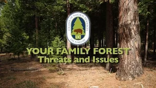 Your Family Forest - Threats and Issues