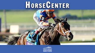 Southwest Stakes and Holy Bull top picks on HorseCenter