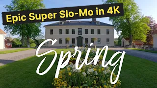 Spring Feelings - Epic Super Slo-Mo video shot at 120 fps in 4K - GoPro