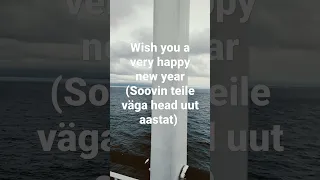 New year wishes #Estonian language