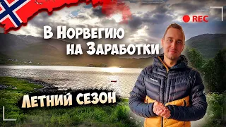 Улетел в Норвегию на Заработки / Летний Сезон 2024 - На работу в Первый День!