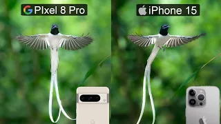 Google pixel 8 pro vs iPhone 15 pro max camera test