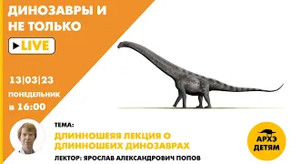 Занятие "Длинношеяя лекция о длинношеих динозаврах" кружка Динозавры и не только с Ярославом Поповым