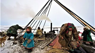 from civilization to Arctic tundra! how  north nomads welcome guests