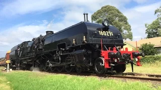 Sydney Trains Vlog 915: The Return Of Garratt Steam Loco 6029