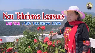 Ncu Tebchaws Lostsuas (Lug Txaj : Tsiv Teb Tsaws Chaw) | Nruag Hawj