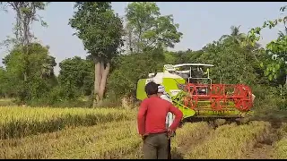 CLAAS Harvester@CLAASinIndia @IndianFarmer @D.S. Enterprises Lucknow@9569240298