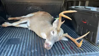 Pennsylvania Deer Camp * MOUNTAIN BUCK DOWN *