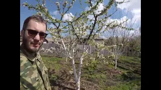 Грядки по Зеппу Хольцеру-годовой опыт на юге