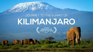 Journey to the Summit of Mount Kilimanjaro