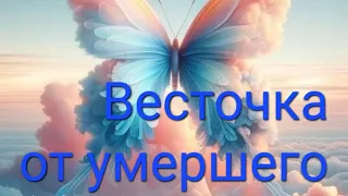 🕊🕊 Весточка от умершего, от ушедшей в мир иной Души 🌺🌺