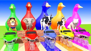 5 Giant Duck, Monkey, Piglet, chicken, lion, cat, cow, Sheep, Transfiguration funny animal 2023