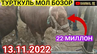 13 Ноябир 2022, Турткуль Мол бозор Нархлари Turtkul Mol bozor