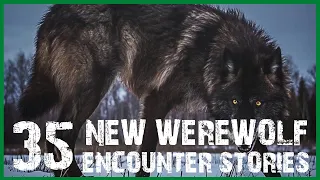 35 NEW REAL WEREWOLF ENCOUNTERS THAT WILL HORRIFY YOU (COMPILATION)