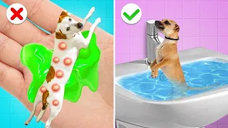 Sauvetage extrême d'un animal à l'hôpital & gadgets utiles par Gotcha !