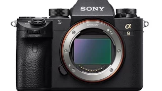 Sony a9 reviews cutting through all the hype