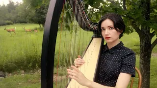 Let It Be  |  The Beatles (Harp Cover)