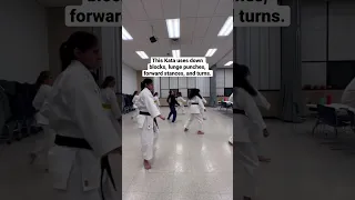 Shotokan Karate Kata - Taikyoku Shodan