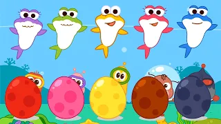 Bingo Song Baby song Surprise Egg With Shark Stamp Transformation play - Nursery Rhymes &Kids Song