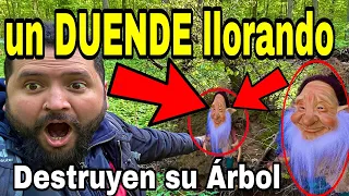 DUENDES CAPTADOS en su casita su voz no es de este mundo (duendes reales) parte 9